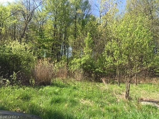 1st image of 705 Saddlebrook Dr