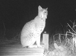 361 Magnolia Pl, Debary, FL 32713