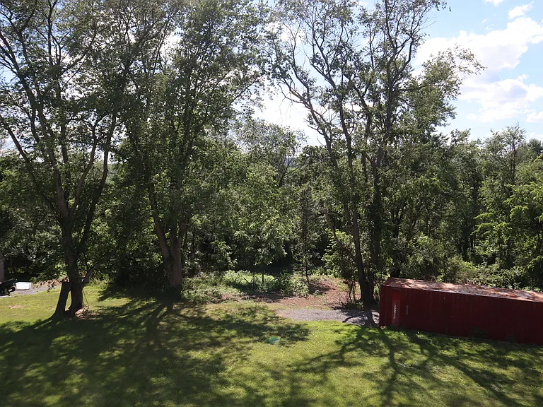 Rear Yard