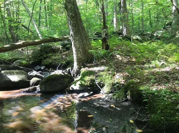 7221 Jacksonville Stage Rd, West Halifax, VT 05358