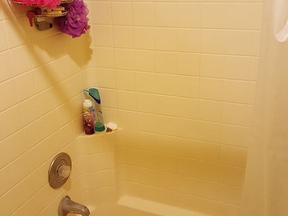 Master bath and shower