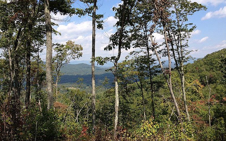 2nd image of L-100 Brasstown Rd