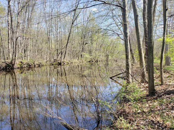 5295 N Watervliet Rd, Watervliet, MI 49098