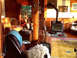Living Room facing lake with Lopi Woodstove
Couch across from trunk, recliner to right of stove