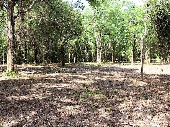 4th image of Dogwood Ln