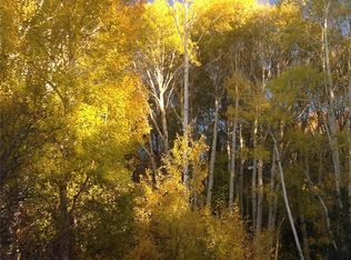 240 Big Bear Rd, Mosca, CO 81146