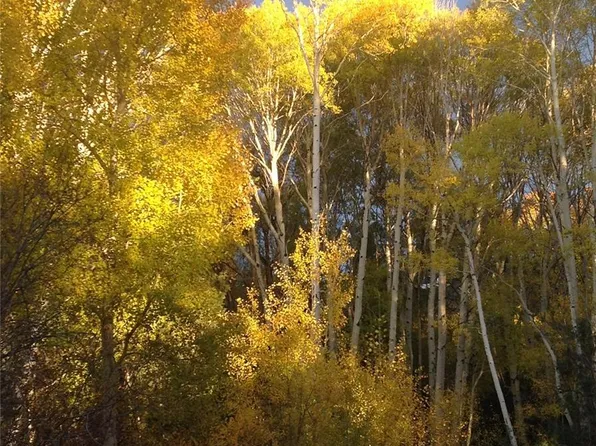 240 Big Bear Road, Mosca, CO 81146