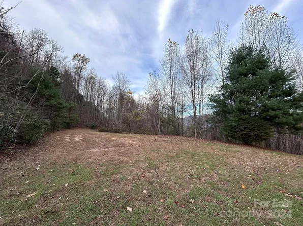 15 Sawyer Cove Hideaway, Robbinsville, NC 28771