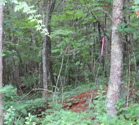 4th image of Lot 8 Pinecrest Drive