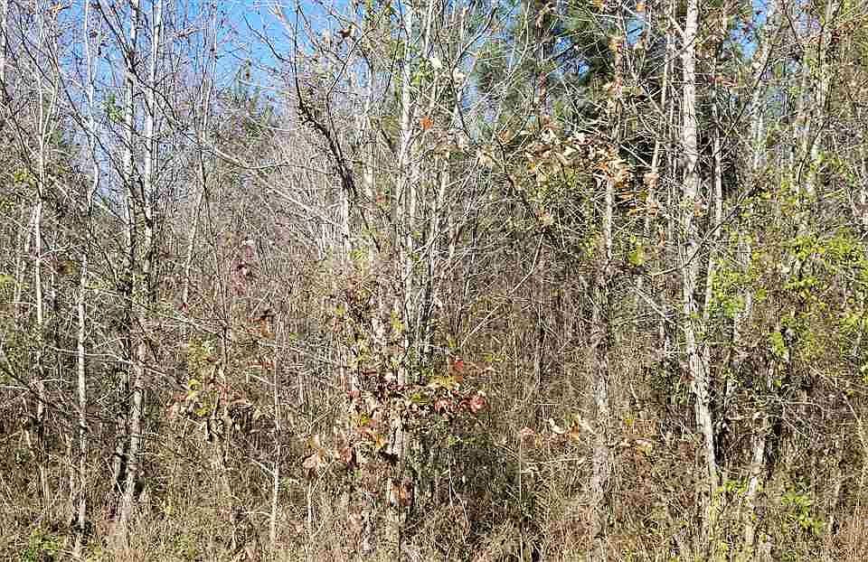 2nd image of Virgilina Rd