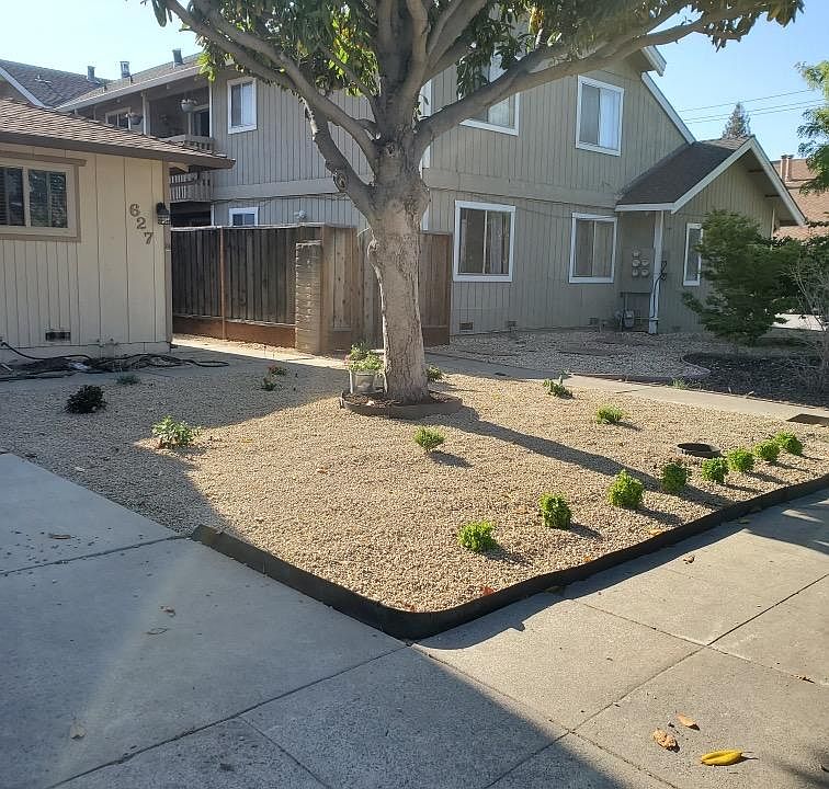 Front yard