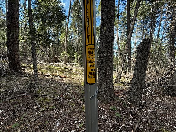 4th image of N/a Wapiti Point Rd