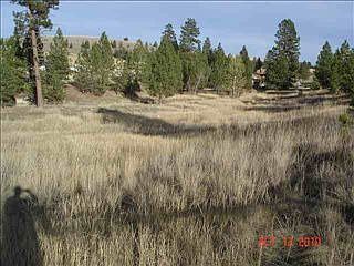 2nd image of 5 Tomasina Rd