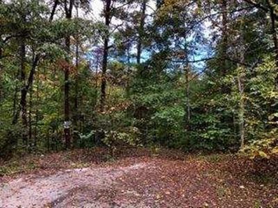 LOT 51 Mr Marshall Dr, Pigeon Forge, TN, 37863