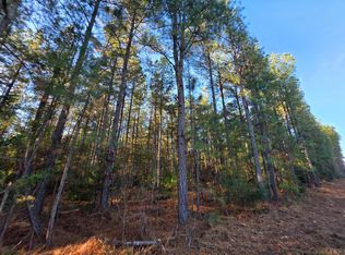 0 Mountain Creek Rd LOT 2, Meherrin, VA 23954