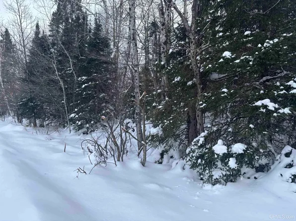 Al County Rd, Champion, MI 49814