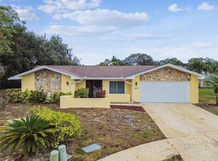 3545 Snowy Egret Ct, Palm Harbor, FL 34683
