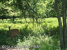 1st image of 28 Quail Dr