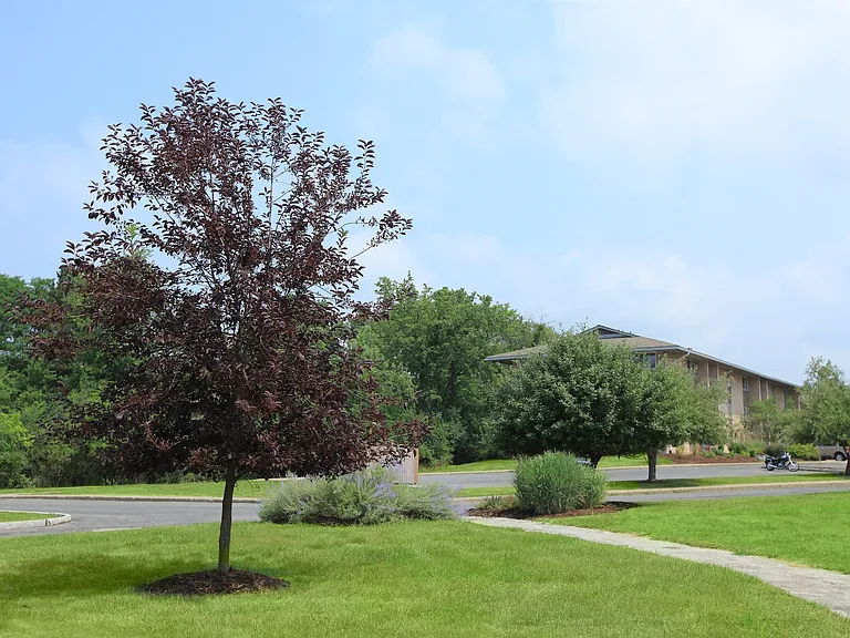 Warren Wood — Photo 14