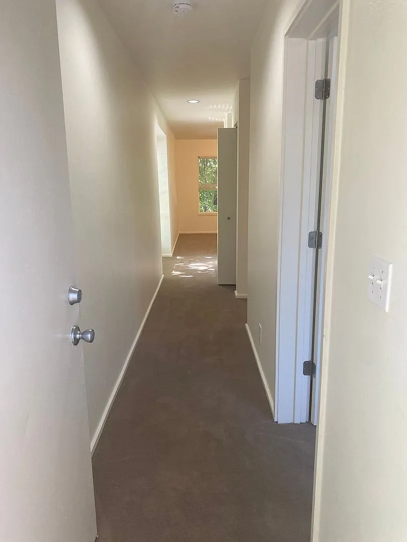 (343) Paletine Apts - 1 Bedroom / 1 Bathroom — Photo 3