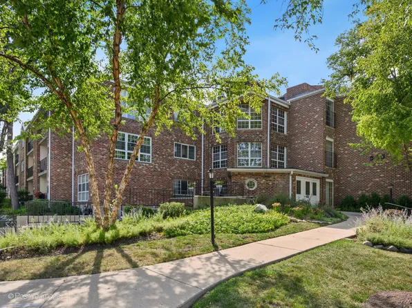 540 Biesterfield Rd APT 217, Elk Grove Village, IL 60007