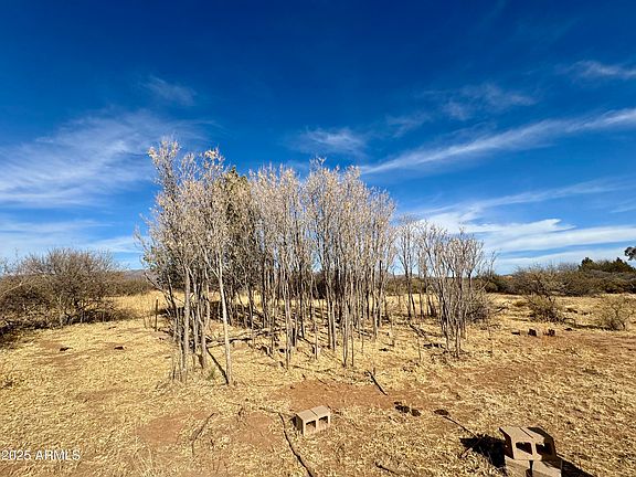 2nd image of TBD 5-ACRE W WILLYS RUN -- #C