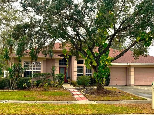 18108 Sugar Brooke Dr, Tampa, FL 33647