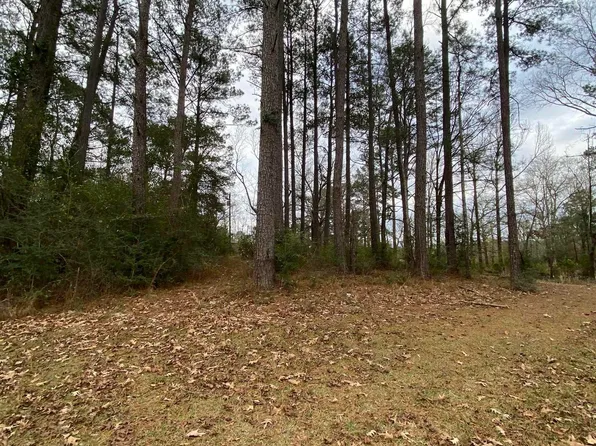 State Highway 1043, Greensburg, LA 70441