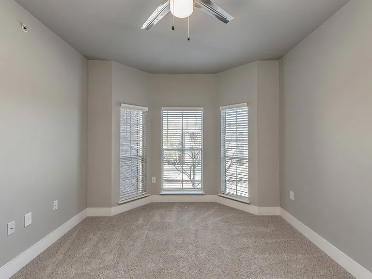 Asheville at Spring Branch — Photo 13