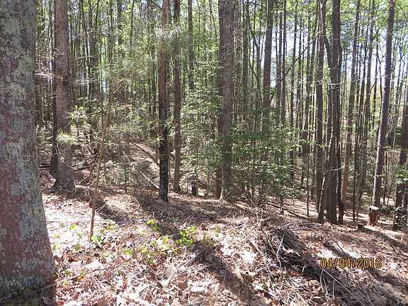 5th image of 2517 Camelia Pointe Dr Lot 58