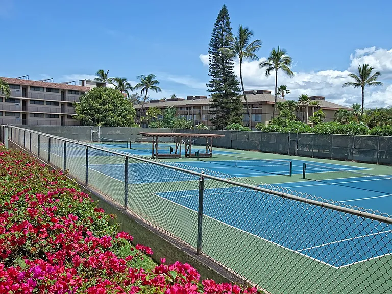 2695 S Kihei Rd #8101 — Photo 28