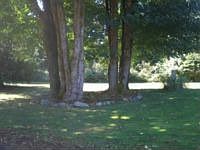 1st image of 17305 33rd Street Court Kp N