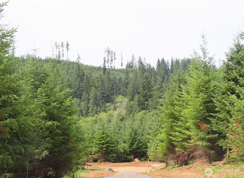 2nd image of 0 Lot D Mill Creek Lane