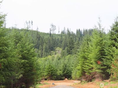 0 Lot C Mill Creek Lane, Longview, WA, 98632