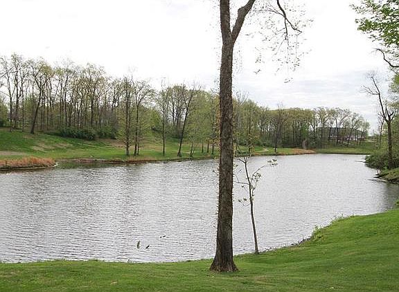 5th image of 116 Stonebridge Estates Ct