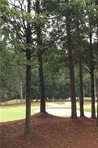 1009 Crescent River Pass Lot 156, Suwanee, GA, 30024