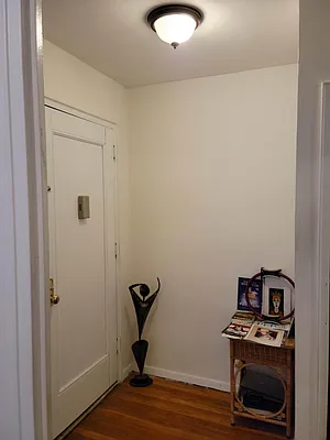 Rented by Manhattan Flats | media 4