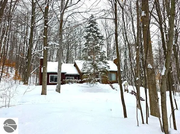 6479 Kliffendorf Dr #478, Bellaire, MI 49615