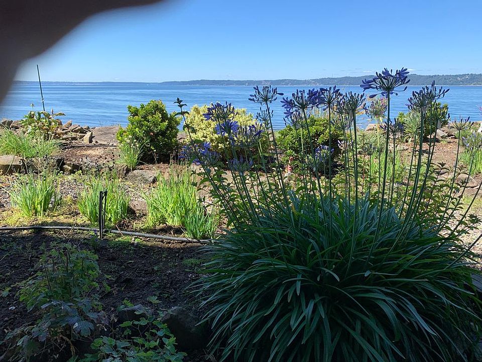 A view from the patio