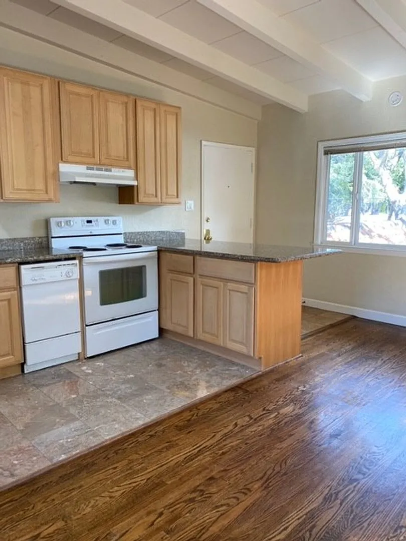 1 Bedroom/ 1 Bathroom Junior Apartment — Photo 4