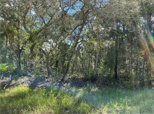 15414 Myland Rd #4, Brooksville, FL 34614