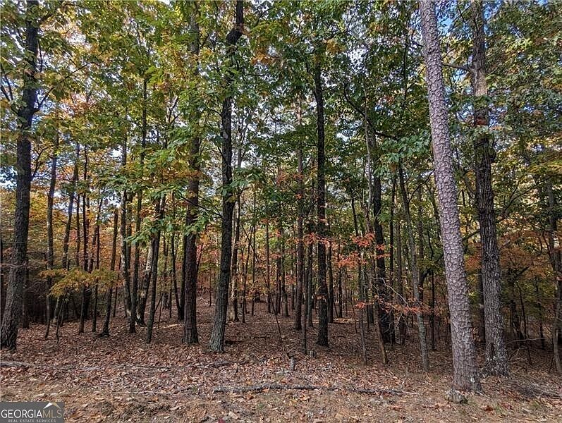 1st image of 0 Oglethorpe Mountain Rd