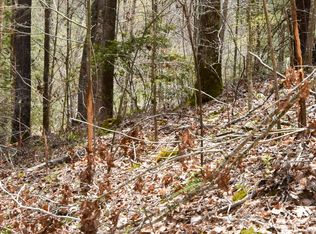 1897 Laurel Creek Rd, Vanceburg, KY 41179
