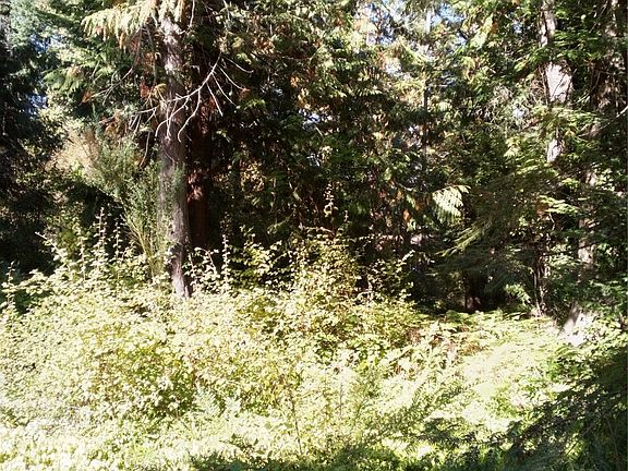 5th image of 356 Stillaguamish Place