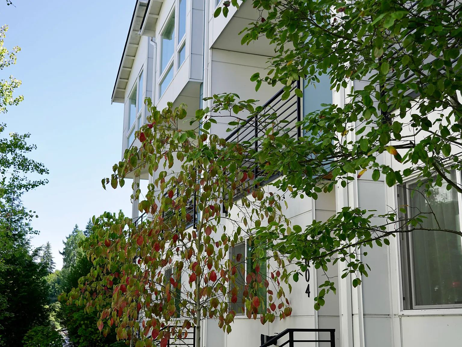 3 bed, 1435 sqft, $3,700 — Photo 2