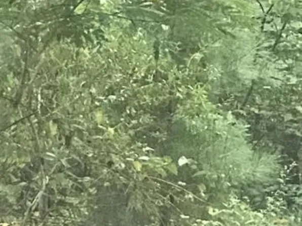 0 Aquarius Dr #11, Alpine, AL 35014