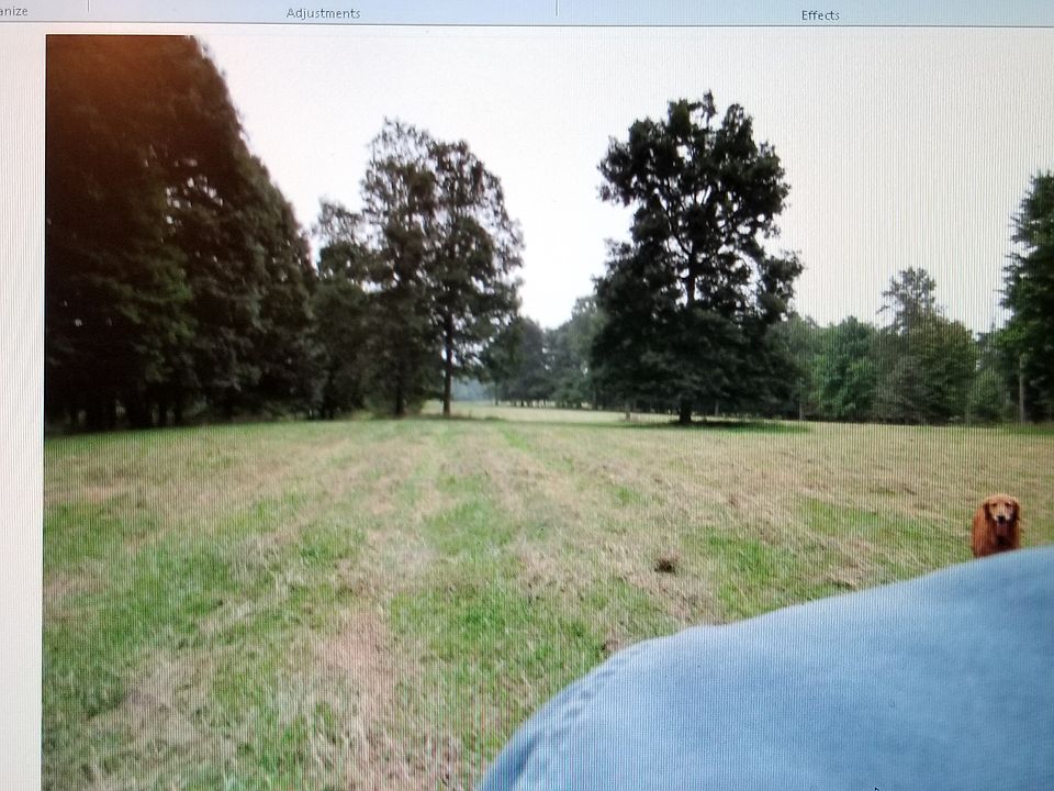 Top Pasture/Hay field 