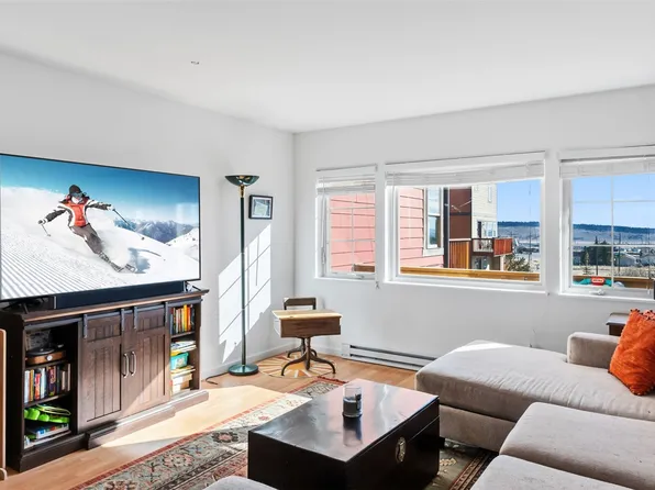 387 8th St #387, Fairplay, CO 80440