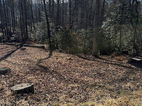 3rd image of 9999 Rockbrook Overlook #13
