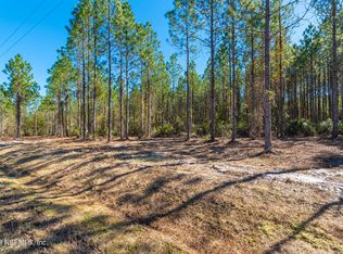 LOT 16 Steel Bridge Rd, Macclenny, FL 32063